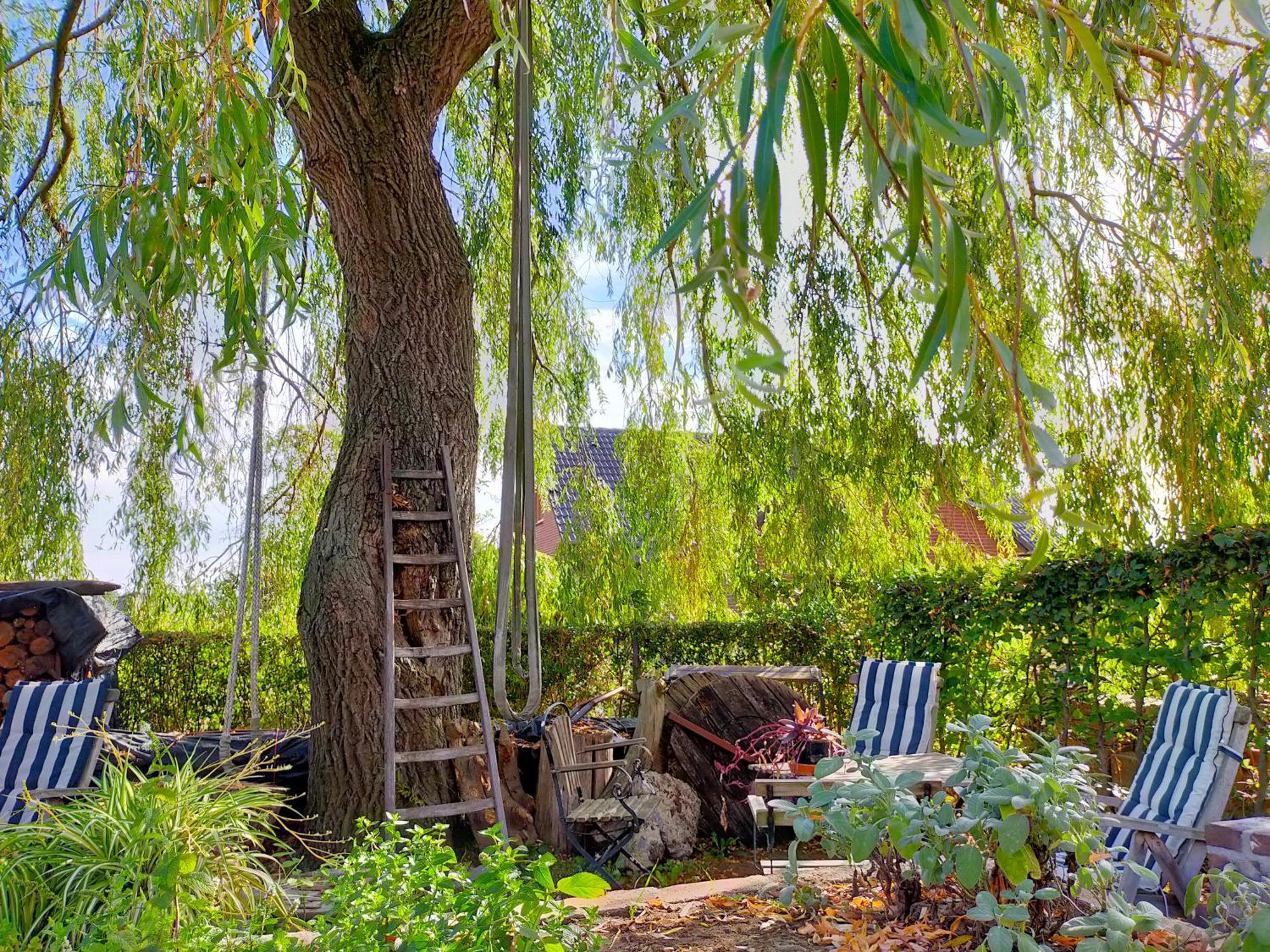 Bed and Breakfast Aan De Molenberg Broekhuizen  Exterior foto
